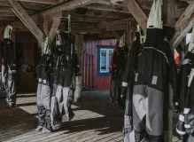 Unleash the Love and Joy with a Happy Birthday Celebration!