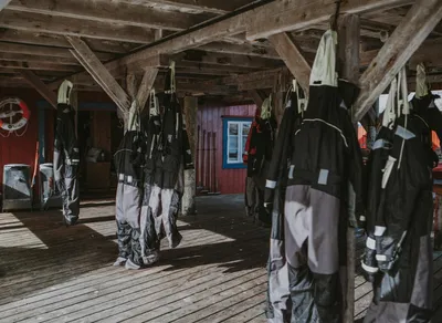 Spread the Love on Their Special Day - Celebrate Happy Birthday!