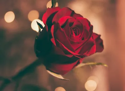 Find the Perfect Happy Birthday Love Images for Him!