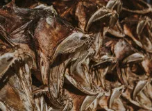 Surprise your Love on their Special Day - Happy Birthday Celebration Ideas!