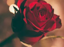 Find the Perfect Happy Birthday Love Images for Him!