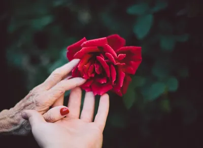 Celebrate Your Special Someone with a Heartfelt Birthday Love Poem!