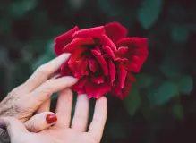 Celebrate Your Special Someone with a Heartfelt Birthday Love Poem!